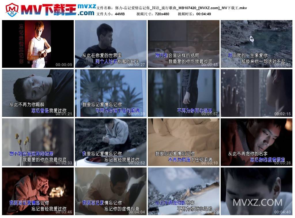 郭力-忘记爱情忘记你_国语_流行歌曲_MB107420